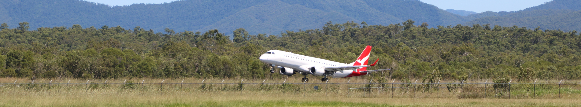 Qantas Arriving